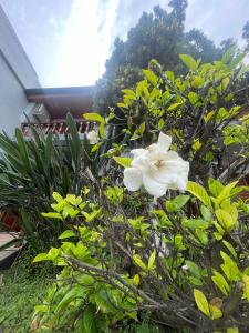 Fotografie z fotogalerie ubytování Bella Vita v destinaci Luján