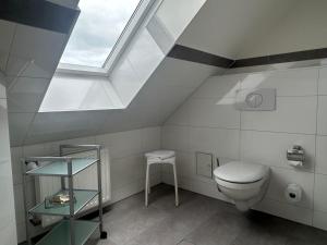 a bathroom with a toilet and a skylight at "Villa Harmonie" direkt am Golfplatz in Göhren-Lebbin +17 photos