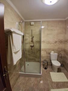 een badkamer met douche en toilet bij Pensiunea Casa Barsan in Bîrsana