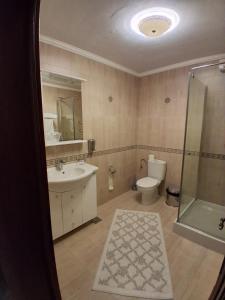 Phòng tắm tại Pensiunea Casa Barsan +37 ảnh