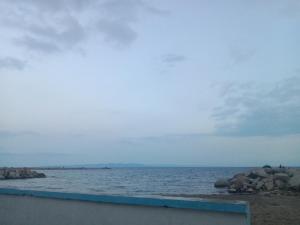 Naturlandskabet i nærheden af lejligheden