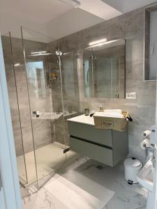 une salle de bains avec douche, lavabo et toilettes dans l'établissement Dobroesti House 13, à Colentina