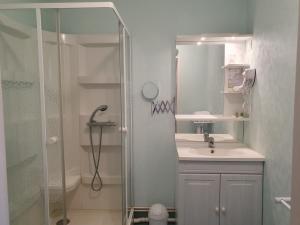 een badkamer met douche, wastafel en spiegel bij Le Fin Chapon in Excideuil