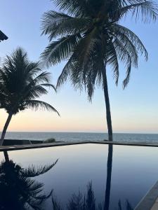 Příroda nedaleko penzionu