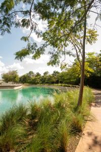 een waterplas met bomen en gras bij Cozy, elegant 2BR steps to US Consulate in Xcumpich