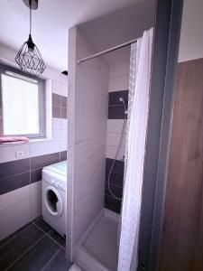 Et badeværelse på Appartement centre historique Auxerre Arrivée autonome