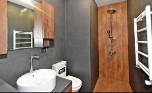 une salle de bains avec lavabo, toilettes et douche dans l'établissement Comfort Apartment, à Aghk'ilisa
