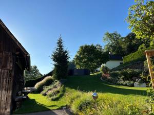 Zahrada ubytování Yellow House Apartments - Top 5