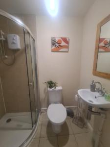 a bathroom with a toilet and a sink at West Park One Bedroom in South Shields
