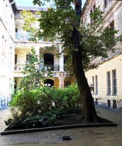 ブダペストにあるAnti-Cafe Kazinczyの建物前に座る木