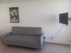 een woonkamer met een bank en een tv bij Casa en condominio 2R alberca compartida in Acapulco