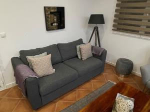a gray couch with pillows in a living room at Bird’s Home in Aveiro +58 photos