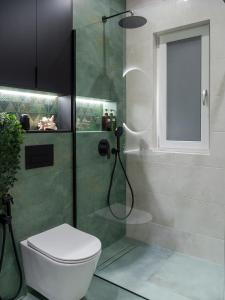 a bathroom with a shower with a toilet and a sink at Arhitect INN in Sibiu