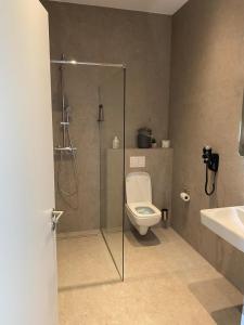 een badkamer met een douche, toilet en wastafel bij Hof Volkmann in Nordkirchen +18 foto's