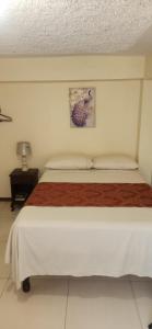 - une chambre avec un grand lit dans l'établissement Lowes Camping Ground & Retreat, 