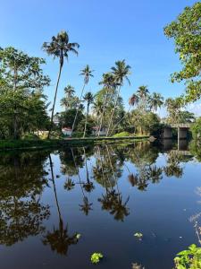 ein Wasserkörper mit Palmen im Hintergrund in der Unterkunft Ayurprana Marari in Mararikulam
