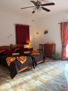 Khu vực ghế ngồi tại South Olives