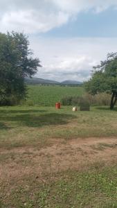 Naturlandskabet i nærheden af luksusteltet