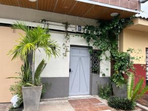 a front door of a house with plants at Apartment Nazareth in La Unión