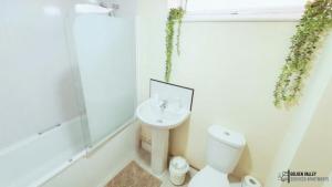 un bagno bianco con un water e un lavandino di White Jasmine in Stroud a Dudbridge