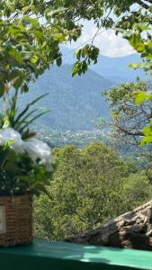 Gallery image of Green Nest Tba in Itʼkhvisi