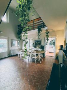 une salle à manger avec une table et des plantes dans l'établissement Villa Oliviana, à Montecarlo