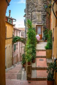 eine Gasse mit Topfpflanzen in einem alten Gebäude in der Unterkunft Chateau dAzur - Vue Mer - vieille ville - Clim in Menton