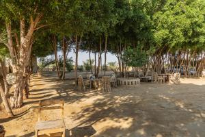 Ảnh trong thư viện ảnh của Sand Gate Camp Hotel ở Qasr Al Farafirah