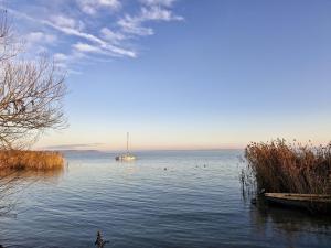 a sail boat in a large body of water at Colorful Life by STN in Balatonudvari