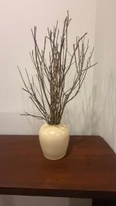 eine weiße Vase mit Zweigen auf dem Tisch in der Unterkunft Eolie Loft in Colombo