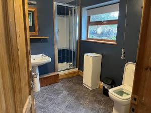 une salle de bain avec un lavabo et des toilettes et une fenêtre dans l'établissement Bryn Rhedyn cottage, à Cwm-y-glo 12 autres photos