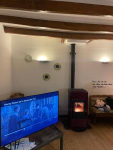 a living room with a fireplace and a flat screen tv at Aux cieux enchanteurs maison magique et spa in Hondschoote