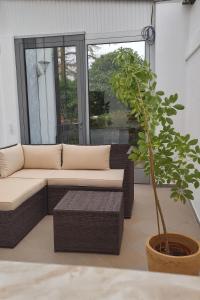 Et opholdsområde på Ferienhaus am Mühlgrundbach