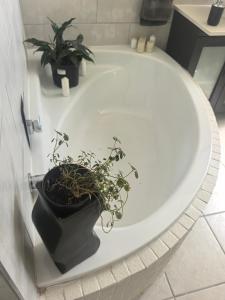 Billede fra billedgalleriet på 22 on BREEZAND i Cape Town