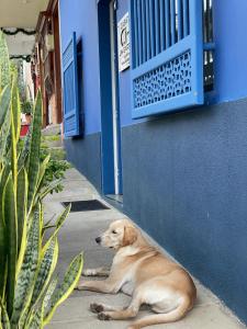 Afbeelding uit fotogalerij van Hotel Casa Azul Jardín in Jardin +49 foto's