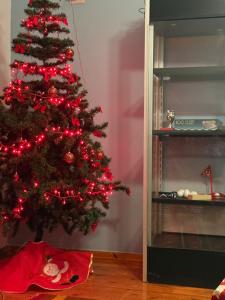 Ảnh trong thư viện ảnh của Hostel Osho ở Tirana