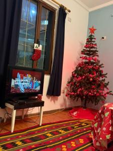 TV/trung tâm giải trí tại Hostel Osho