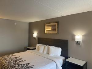 Foto dalla galleria di Red Roof Inn Media a Media