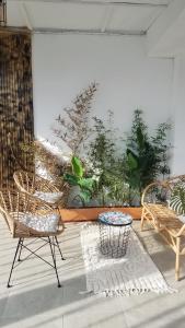 een kamer met stoelen en planten aan een muur bij Belvys Home in Kribi