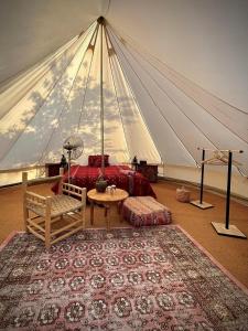 une tente avec un lit et une table dans une chambre dans l'établissement Cortijo Bablou, à Arcos de la Frontera 88 autres photos