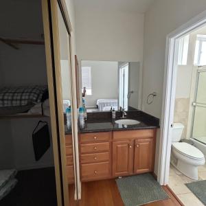 un bagno con lavandino e WC di Tranquility home a Hayward Altre 25 foto