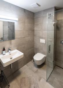 ein Badezimmer mit Waschbecken, Toilette und Dusche in der Unterkunft Apartmán Jizera in Jablonec nad Nisou