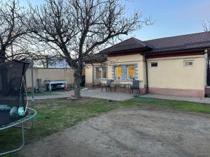 a house with a table and a tree in the yard at Căsuța Tenu in Craiova