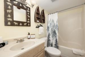 a bathroom with a sink and a toilet and a mirror at Comfortable Mountain Getaway near Winter Park in Fraser +14 photos