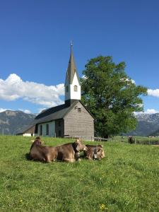 Twee koeien liggen in het gras voor een kerk. bij 3-Raum-Maisonette-Wohnung Sonnenblume in Bolsterlang