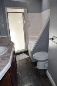 a bathroom with a toilet and a sink and a tub at Point Breeze Guest House in Pittsburgh