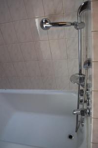 a shower with a chrome shower head in a bathroom at Point Breeze Guest House in Pittsburgh +56 photos