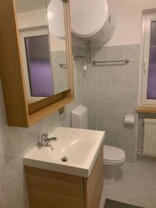 ein Badezimmer mit Waschbecken, Toilette und Spiegel in der Unterkunft Appartamento Ape Verde in Piano dʼArta + 4 Fotos