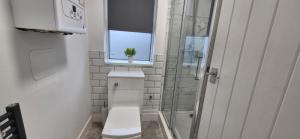 een badkamer met een toilet en een douche en een raam bij St Johns - 2 Bed House in Balby