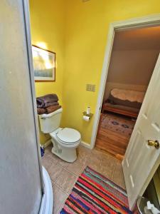 ein Badezimmer mit einer weißen Toilette in einem Zimmer in der Unterkunft Point Breeze Guest House in Pittsburgh